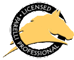 Licensed Parelli Professional