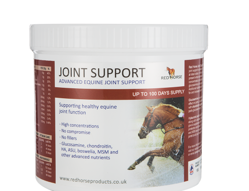geschmeidige Gelenke für dein Pferd – Joint Support von Red Horse Products