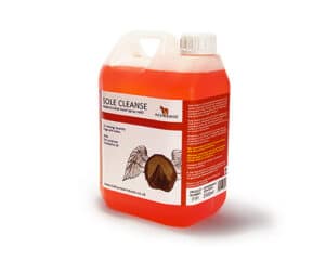 SoleCleanse
