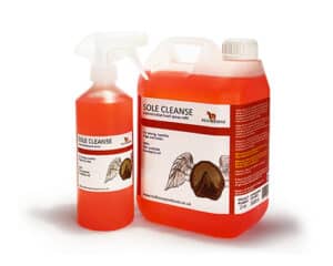 SoleCleanse