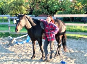 Spirit Appaloosa