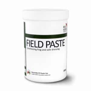 FieldPaste