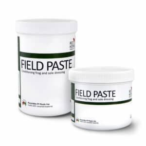 FieldPaste