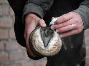 Silver Hoof Balls