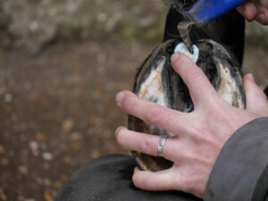 Silver Hoof Balls