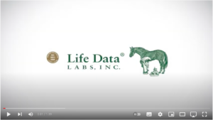 Life Data® Hoof Clay