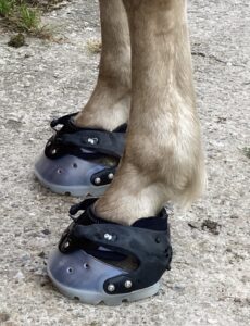 Elly mit ihren neuen Floating Boots mit Neopren Polster