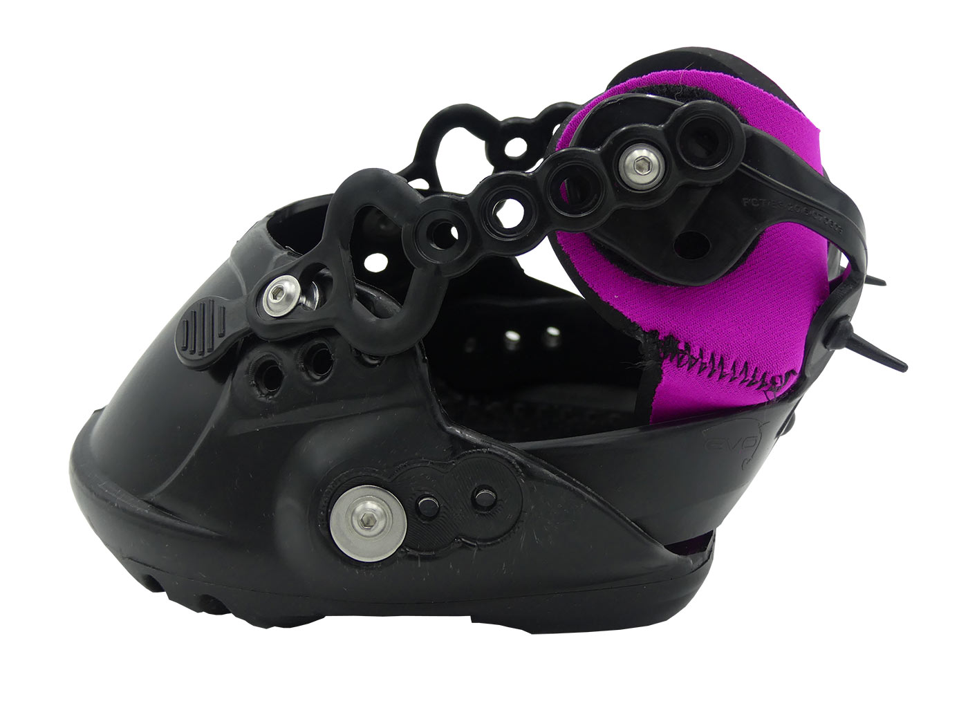 EvoBoot 2021