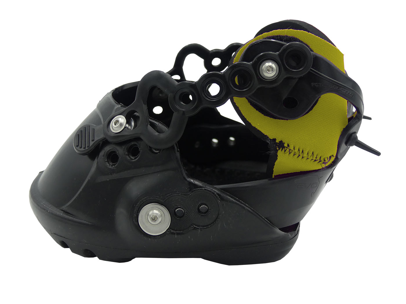 EvoBoot 2021
