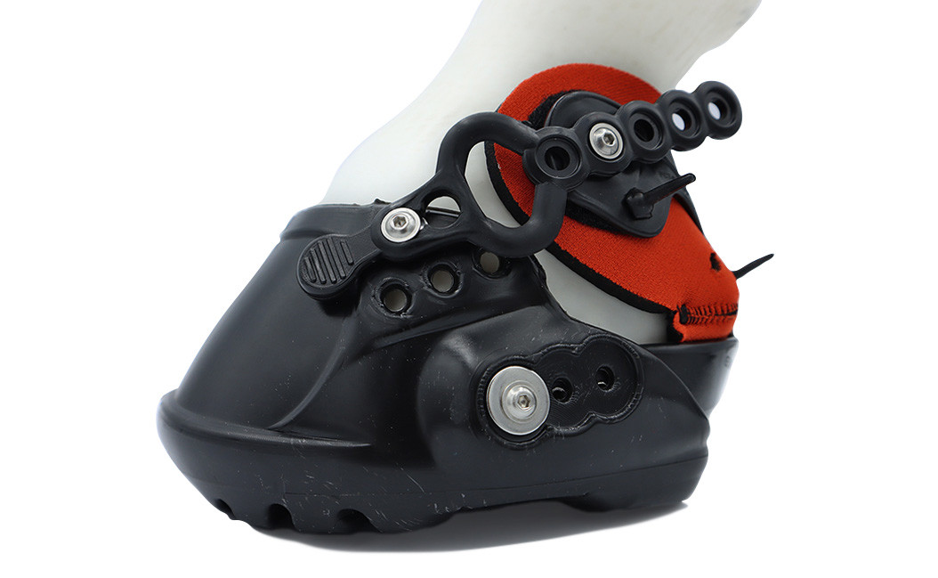 EvoBoot 2021