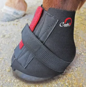 F.R.A.® | Cavallo Bandagen