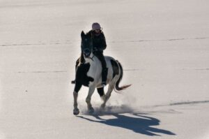 Wolke Galopp Schnee