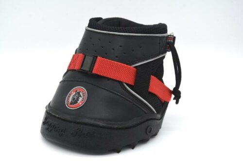 Ultra jogging shoe 2024