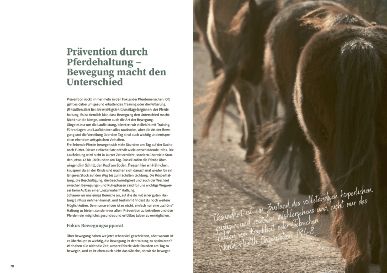 Ponyglücksmomente | Das Buch für dich und dein Pferd – Bild 2