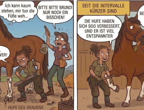 Der wahre Game Changer für die Hufentwicklung